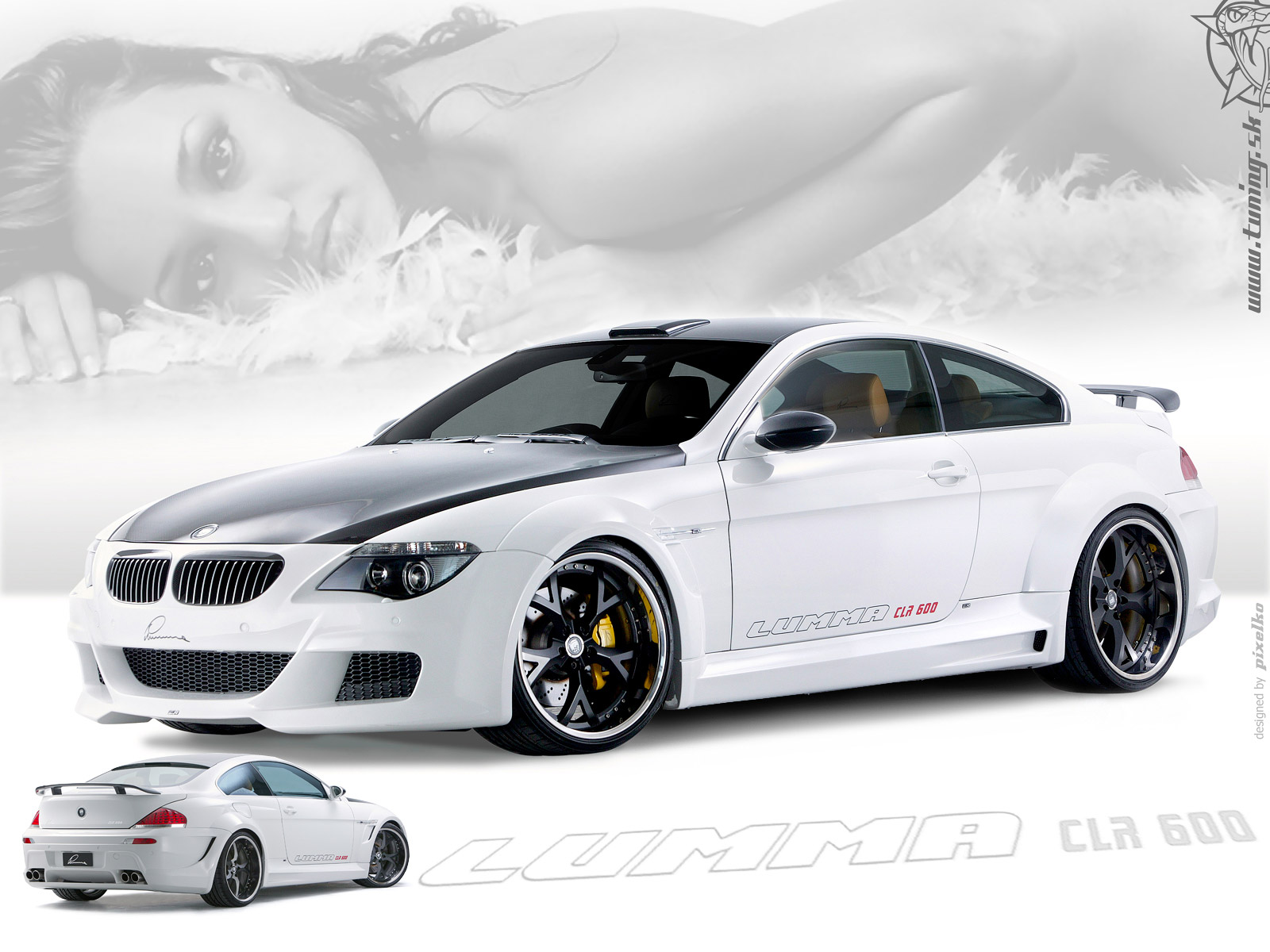 BMW M6 E63: 10 фото