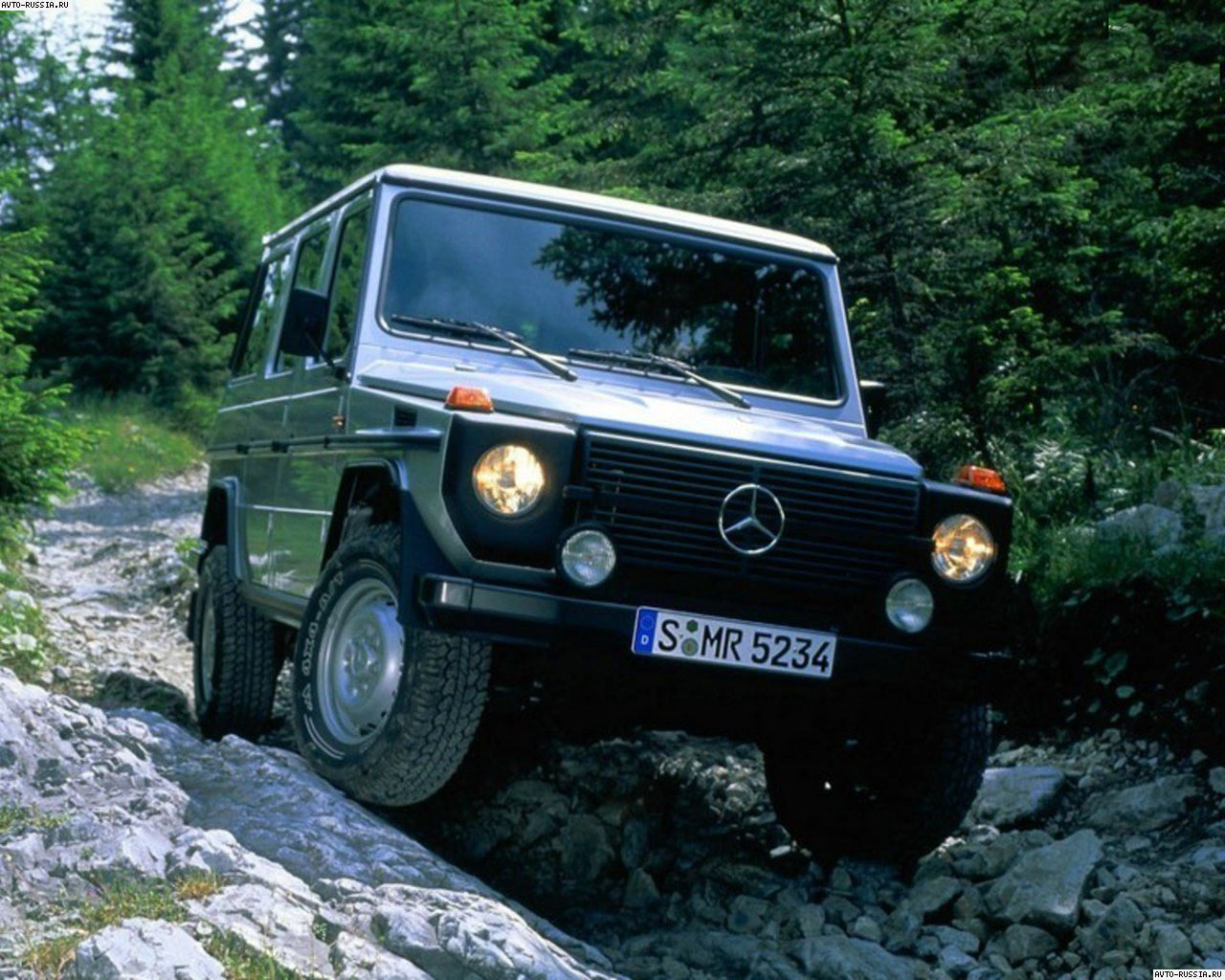 Mercedes G-class W460: 1 фото