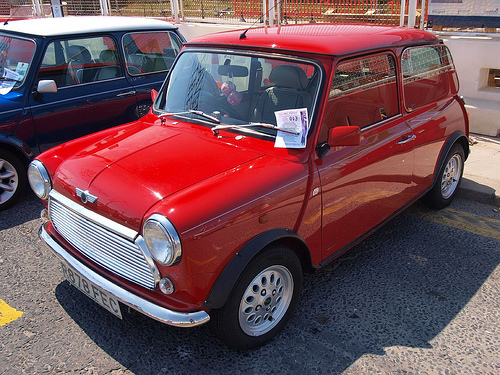 Rover Mini: 11 фото